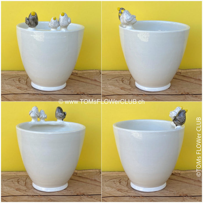 Ceramic plant pot with three birds