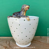 White, hand made, unique, ceramic plant pot with green dots without drain hole with Gordon Setter dog on the pot top directly from the artist's work shop, offered for sale by TOMs FLOWer CLUB.