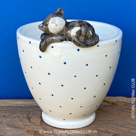 White, hand made, unique, ceramic plant pot with blue dots without drain hole with one sleeping black cat on the pot top directly from the artist's work shop, offered for sale by TOMs FLOWer CLUB.