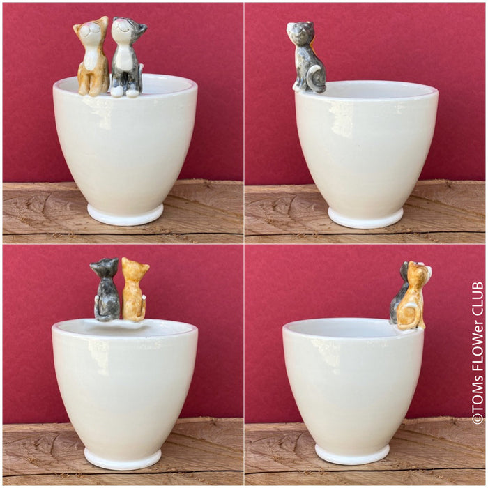White, hand made, unique, ceramic plant pot without drain hole with one ginger and one black cat on the pot top directly from the artist's work shop, offered for sale by TOMs FLOWer CLUB.