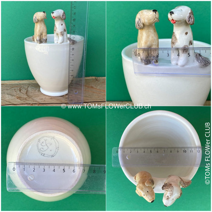 White, hand made, unique, ceramic plant pot without drain hole with one white and one brown dog on the pot top directly from the artist's work shop, offered for sale by TOMs FLOWer CLUB.