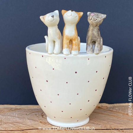 White, hand made, unique, ceramic plant pot with burgundy dots without drain hole with three colourful cats on the pot top directly from the artist's work shop, offered for sale by TOMs FLOWer CLUB.v