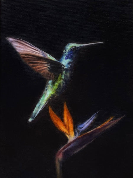 Original Hummingbird and Strelitzia Oil Painting by Czech artist Viktoria Penner. For sale at TOMs ART FLOWer Club. Oil on canvas,18 x 24 cm. Signed & dated on the back.