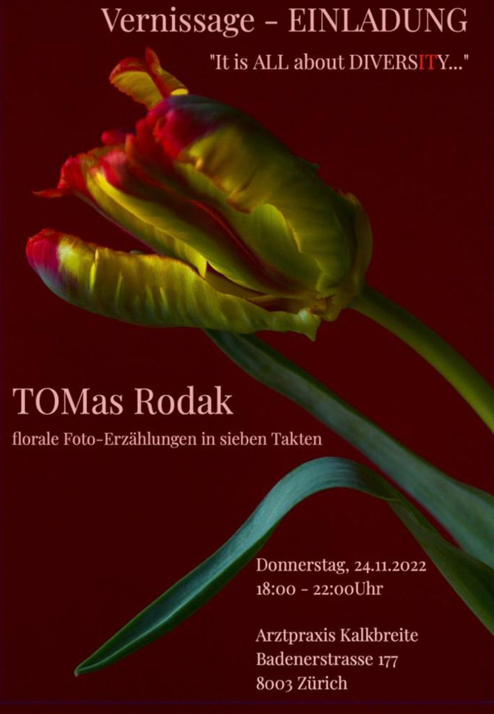 Tulips in art, Kalkbreite, medical practise, Arzt Kalkbreite, Tulip love, TOMAs Rodak, TOMs FLOWer CLUB, Peony in art, semper augustus, diversity
