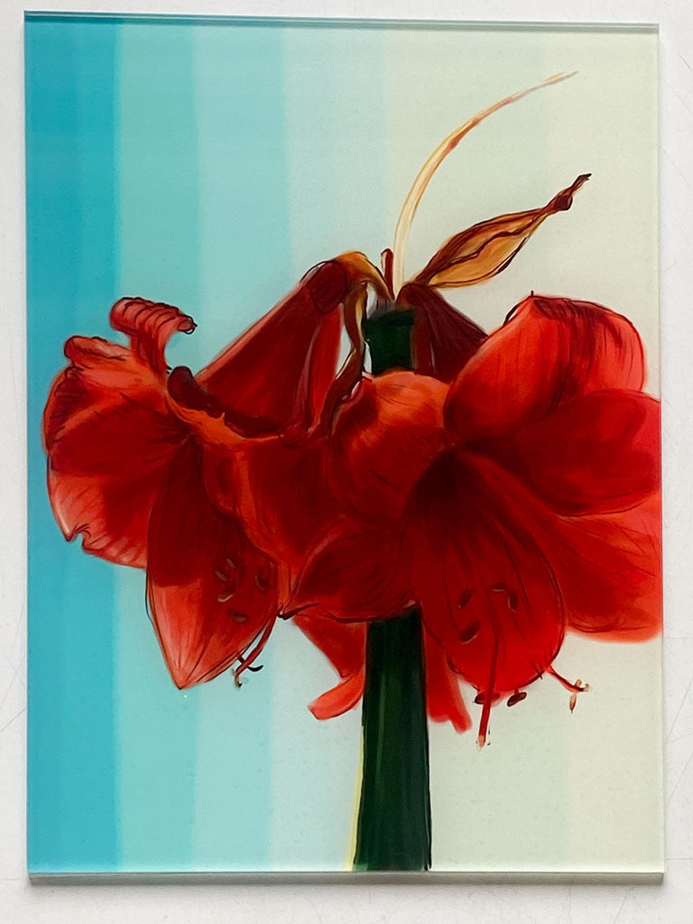 “The tulips are too excitable, it is winter here”