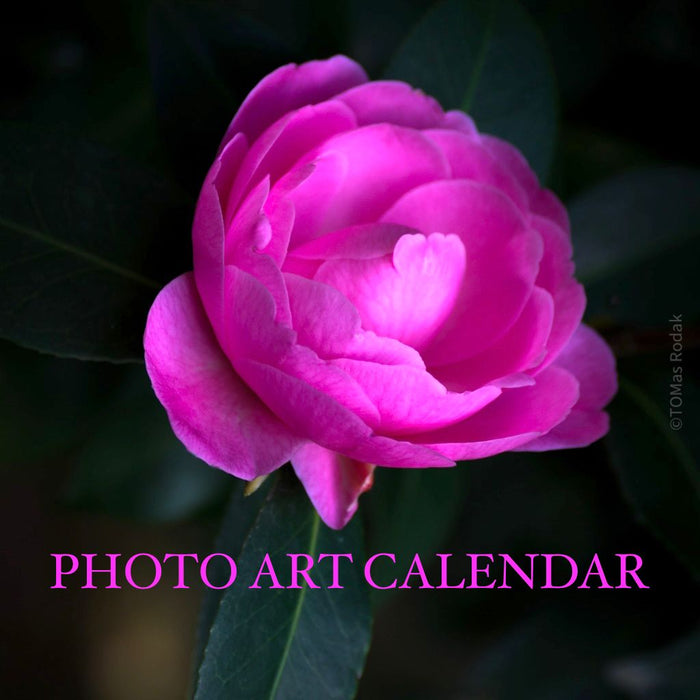 calendar, photo art, TOMS FLOWer CLUB, TOMAS RODAK