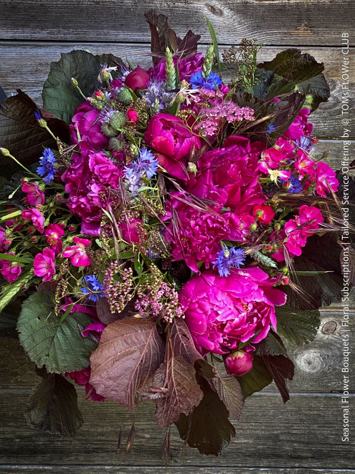 Seasonal Flower Bouquets or Floral Subscriptions with free delivery in Adliswil, Kilchberg, Rüschlikon and Zürich Wollishofen offeredd by TOMs FLOWer CLUB.