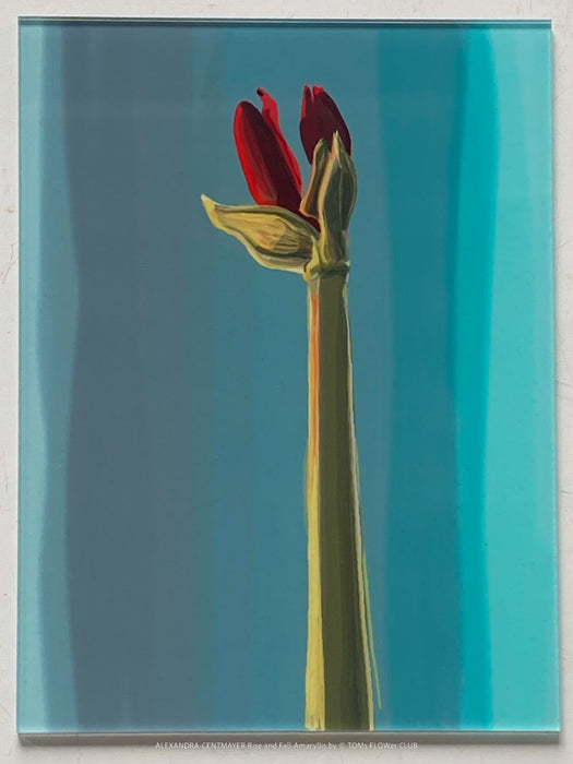 Alexandra Centmayer Rise and Fall 2025 limited edition art print behind glossy acrylic glass, signed and numbered, TOMs FLOWer CLUB