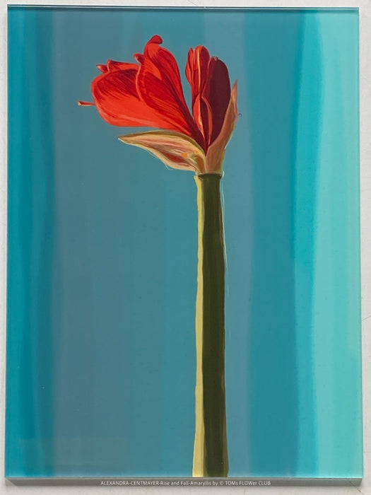 Limited edition art print Rise and Fall by German artist Alexandra Centmayer, 20 x 15 cm, TOMS FLOWer CLUB