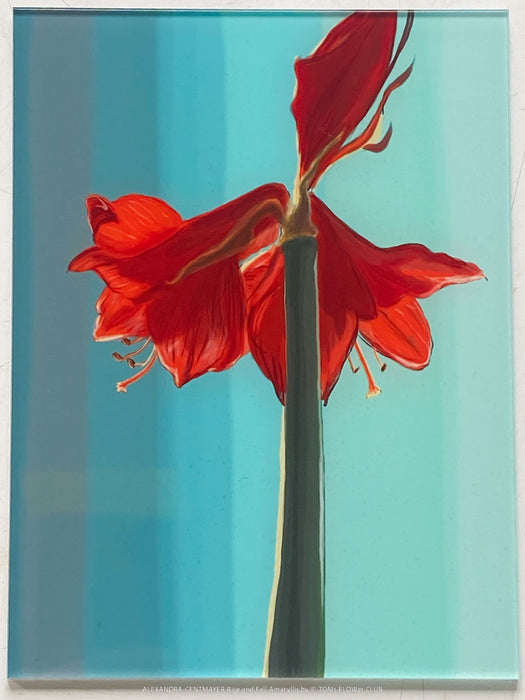 Collectible art print Rise and Fall by Alexandra Centmayer, edition of 10 plus artist proofs