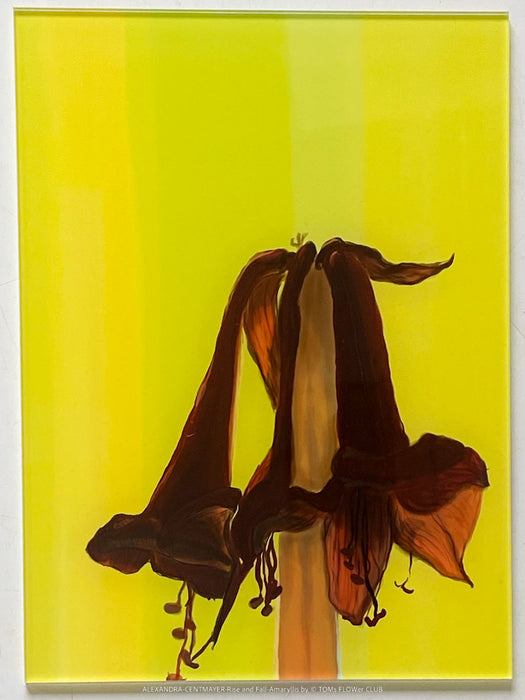 Exclusive limited edition art print by Alexandra Centmayer, Rise and Fall series