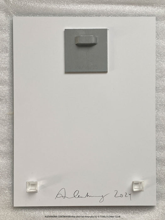 Small-format contemporary art print behind acrylic glass, Rise and Fall by Alexandra Centmayer