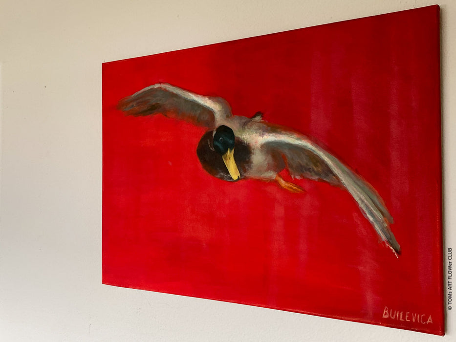Alise Builevica, Flying Duck 2015, animal art, Riga art academy, duck in art, Ente in der Kunst, TOMs FLOWer CLUB, TOMs  ART FLOWer CLUB