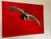 Alise Builevica, Flying Duck 2015, animal art, Riga art academy, duck in art, Ente in der Kunst, TOMs FLOWer CLUB, TOMs  ART FLOWer CLUB