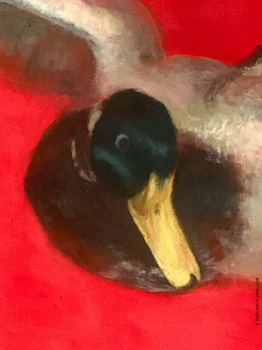 Alise Builevica, Flying Duck 2015, animal art, Riga art academy, duck in art, Ente in der Kunst, TOMs FLOWer CLUB, TOMs  ART FLOWer CLUB