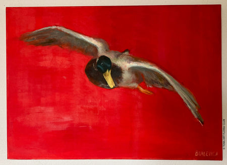 Alise Builevica, Flying Duck 2015, animal art, Riga art academy, duck in art, Ente in der Kunst, TOMs FLOWer CLUB, TOMs  ART FLOWer CLUB