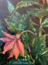 Unknown artist, Begonia, Begonie, Begonien, Begonias, floral art collection, rote Begonien, Künstler aus Horgen; Horten Schweiz, TOMs ART FLOWer CLUB, florale Kunst, Stilleben, Stilllege, zatisie for sale aus 1967 at TOMs FLOWer CLUB.