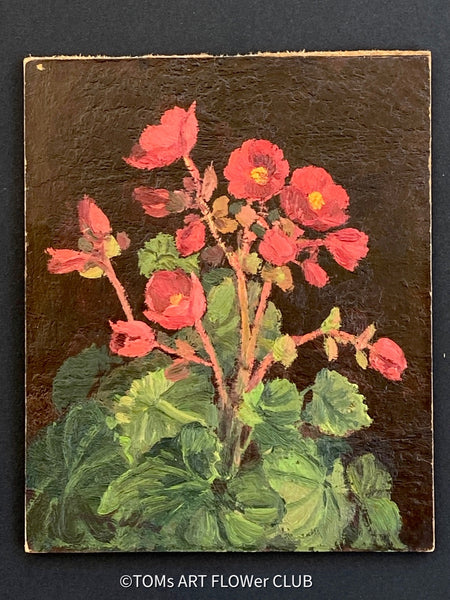 Unknown artist, Begonia, Begonie, Begonien, Begonias, floral art collection, rote Begonien, Künstler aus Horgen; Horten Schweiz, TOMs ART FLOWer CLUB, florale Kunst, Stilleben, Stilllege, zatisie for sale aus 1967 at TOMs FLOWer CLUB.