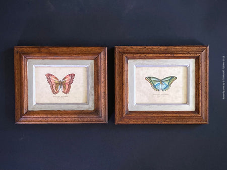 Diptychon Butterflies, pink and blue, wooden framed, antique, Italy Florence. TOMs ART FLOWer CLUB, prints for sale. 