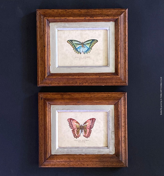 Diptychon Butterflies, pink and blue, wooden framed, antique, Italy Florence. TOMs ART FLOWer CLUB, prints for sale. 