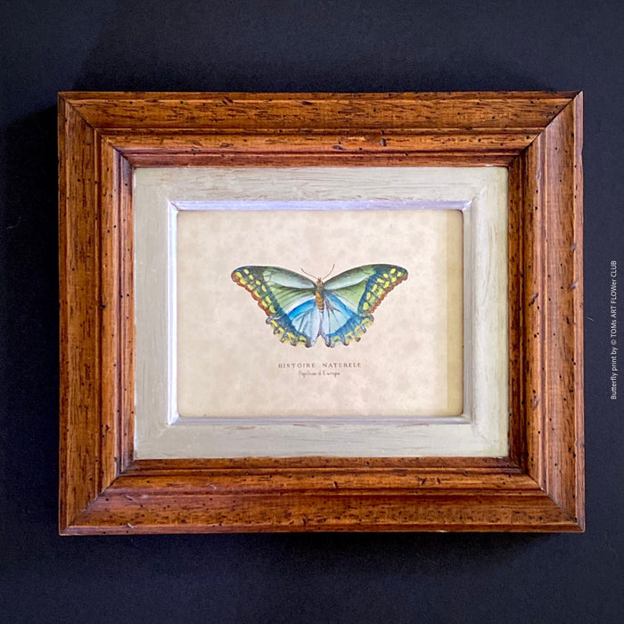 Diptychon Butterflies, pink and blue, wooden framed, antique, Italy Florence. TOMs ART FLOWer CLUB, prints for sale. 