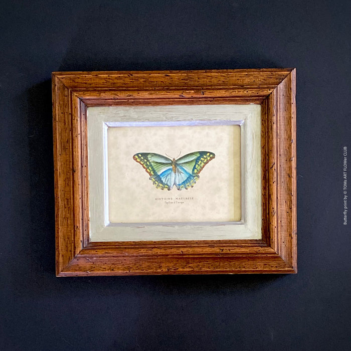 Diptychon Butterflies, pink and blue, wooden framed, antique, Italy Florence. TOMs ART FLOWer CLUB, prints for sale. 