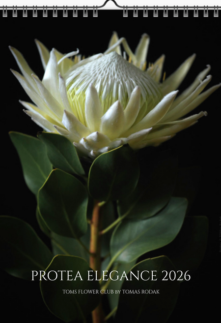 Floral calendar with a protea flower on a black background, featuring the brand 'Toms Flower Club' by Tomas Rodak.