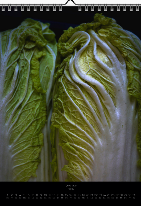 Tomas Rodak, Calendar 2026, Wandkalender 2026, VEGETARIAN, vegetarisch, vegan, Kalendar, New year, neues Jahr, Neujahr, Kalendar, for sale by TOMs FLOWer CLUB