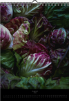 Tomas Rodak, Calendar 2026, Wandkalender 2026, VEGETARIAN, vegetarisch, vegan, Kalendar, New year, neues Jahr, Neujahr, Kalendar, for sale by TOMs FLOWer CLUB