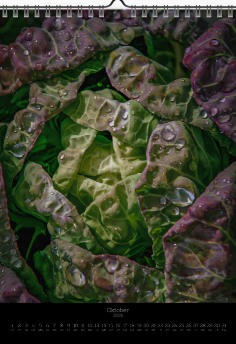 Tomas Rodak, Calendar 2026, Wandkalender 2026, VEGETARIAN, vegetarisch, vegan, Kalendar, New year, neues Jahr, Neujahr, Kalendar, for sale by TOMs FLOWer CLUB