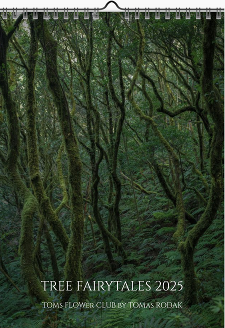 Tomas Rodak, Calendar 2025, Wandkalender 2025, TREE, TREES, BÄUME, BAUM, storm, stormy, arboretum, Tenerife, Anage mountains, Kalendar, New year, neues Jahr, Neujahr, Kalendar, for sale by TOMs FLOWer CLUB