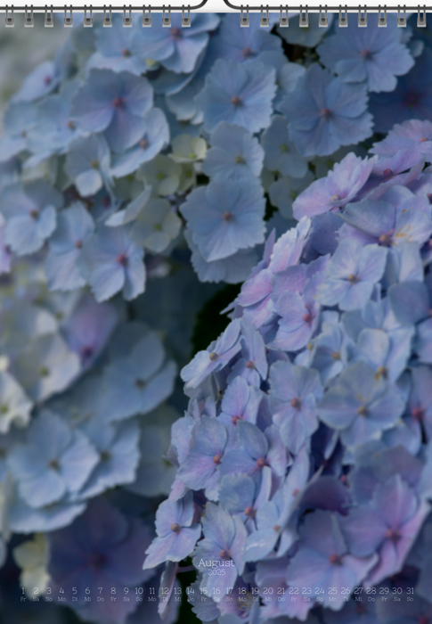 Tomas Rodak, Calendar 2025, Hortensia, Hydrangea, Wandkalender, Kalendar, New year, neues Jahr, Neujahr, Kalendar, for sale by TOMs FLOWer CLUB