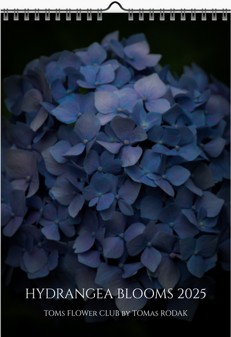 Tomas Rodak, Calendar 2025, Hortensia, Hydrangea, Wandkalender, Kalendar, New year, neues Jahr, Neujahr, Kalendar, for sale by TOMs FLOWer CLUB