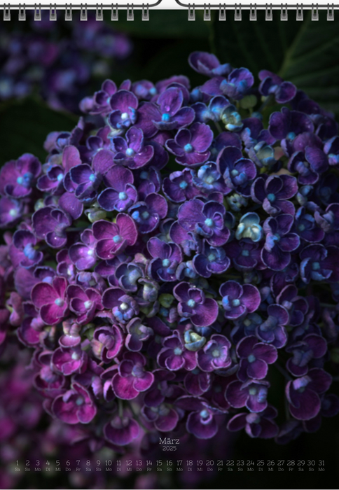 Calendar - HYDRANGEA COLORS 2025