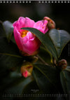 Calendar 2026 made by Swiss photographer TOMAS RODAK with CAMELLIA FLOWERS offered for sale at TOMs FLOWer CLUB. 