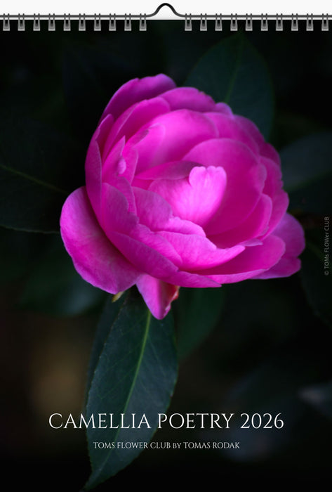 Calendar 2026 made by Swiss photographer TOMAS RODAK with CAMELLIA FLOWERS offered for sale at TOMs FLOWer CLUB. 
