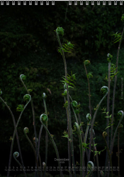 Calendar 2026 made by Swiss photographer TOMAS RODAK with FERNS offered for sale at TOMs FLOWer CLUB. 