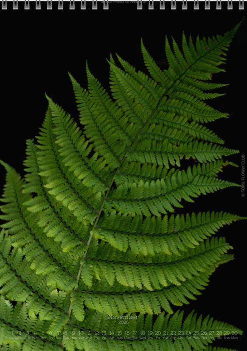Calendar 2026 made by Swiss photographer TOMAS RODAK with FERNS offered for sale at TOMs FLOWer CLUB. 
