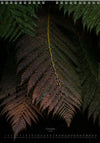 Calendar 2026 made by Swiss photographer TOMAS RODAK with FERNS offered for sale at TOMs FLOWer CLUB. 