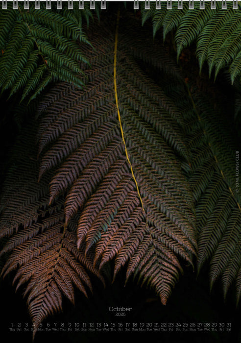 Calendar 2026 made by Swiss photographer TOMAS RODAK with FERNS offered for sale at TOMs FLOWer CLUB. 