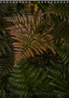 Calendar 2026 made by Swiss photographer TOMAS RODAK with FERNS offered for sale at TOMs FLOWer CLUB. 