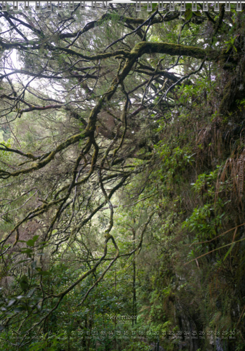 Tomas Rodak, Calendar 2026, Wandkalender 2026, Madeira, Blumeninsel, Kalendar, New year, neues Jahr, Neujahr, Kalendar, for sale by TOMs FLOWer CLUB