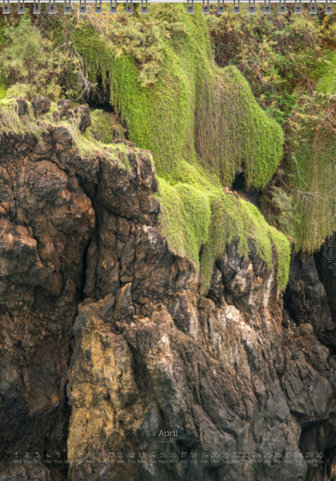 Tomas Rodak, Calendar 2026, Wandkalender 2026, Madeira, Blumeninsel, Kalendar, New year, neues Jahr, Neujahr, Kalendar, for sale by TOMs FLOWer CLUB