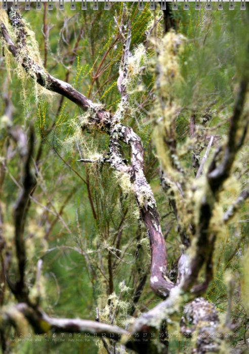 Tomas Rodak, Calendar 2026, Wandkalender 2026, Madeira, Blumeninsel, Kalendar, New year, neues Jahr, Neujahr, Kalendar, for sale by TOMs FLOWer CLUB