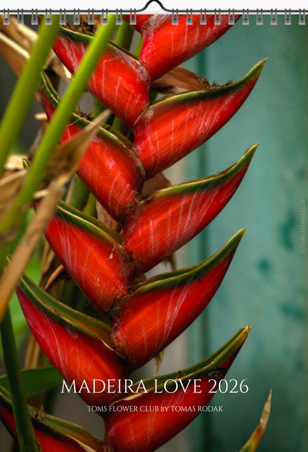 Tomas Rodak, Calendar 2026, Wandkalender 2026, Madeira, Blumeninsel, Kalendar, New year, neues Jahr, Neujahr, Kalendar, for sale by TOMs FLOWer CLUB