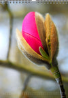 Tomas Rodak, Calendar 2026, Wandkalender 2026, Magnolia, Blumeninsel, Kalendar, New year, neues Jahr, Neujahr, Kalendar, for sale by TOMs FLOWer CLUB
