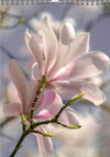 Tomas Rodak, Calendar 2026, Wandkalender 2026, Magnolia, Blumeninsel, Kalendar, New year, neues Jahr, Neujahr, Kalendar, for sale by TOMs FLOWer CLUB
