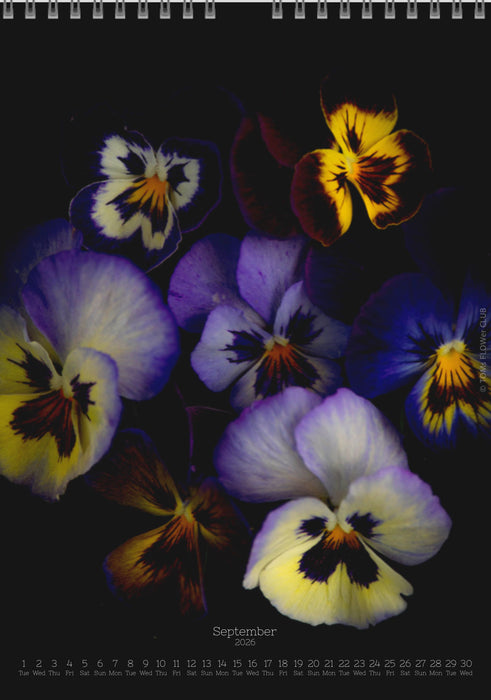 Calendar 2026 made by Swiss photographer TOMAS RODAK with a pancy flower offered for sale at TOMs FLOWer CLUB. 