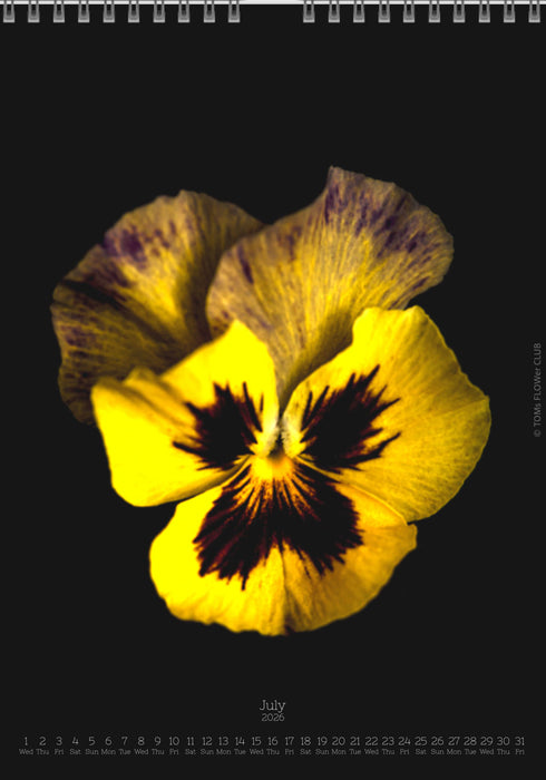 Calendar 2026 made by Swiss photographer TOMAS RODAK with a pancy flower offered for sale at TOMs FLOWer CLUB. 