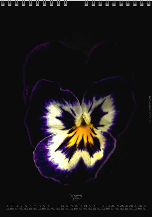 Calendar 2026 made by Swiss photographer TOMAS RODAK with a pancy flower offered for sale at TOMs FLOWer CLUB. 